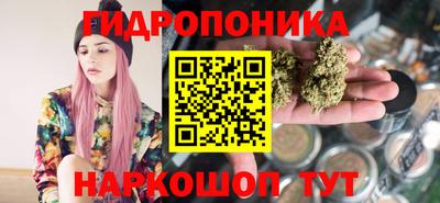 ECSTASY Заводоуковск