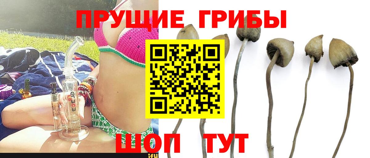 Ижевск  Псилоцибиновые грибы GOLDEN TEACHER  Вход с VPN  Псилоцибиновые грибы мухоморы 